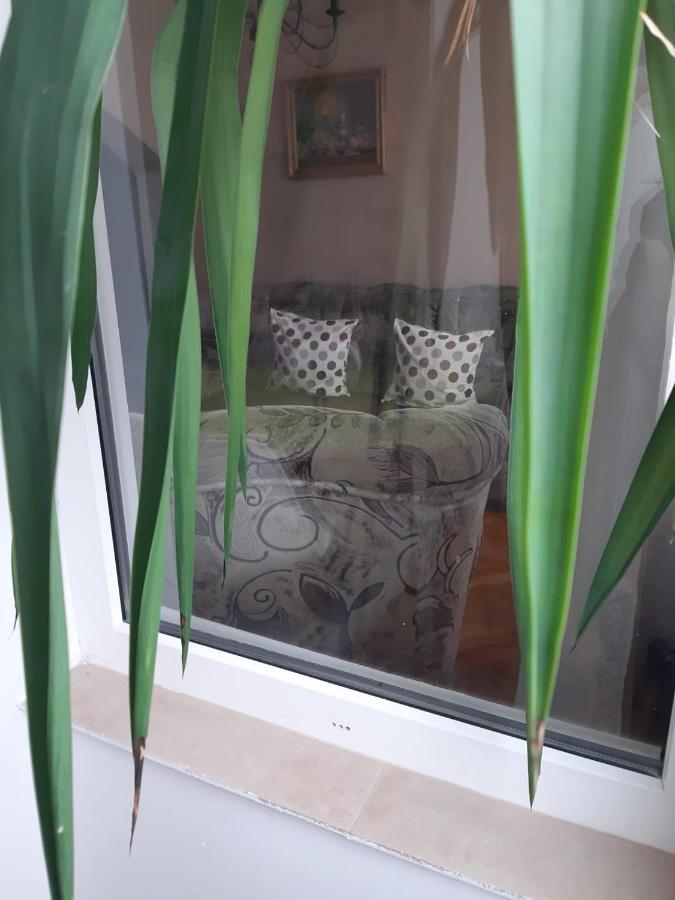 אורדאה Pelican Proxy Apartment מראה חיצוני תמונה